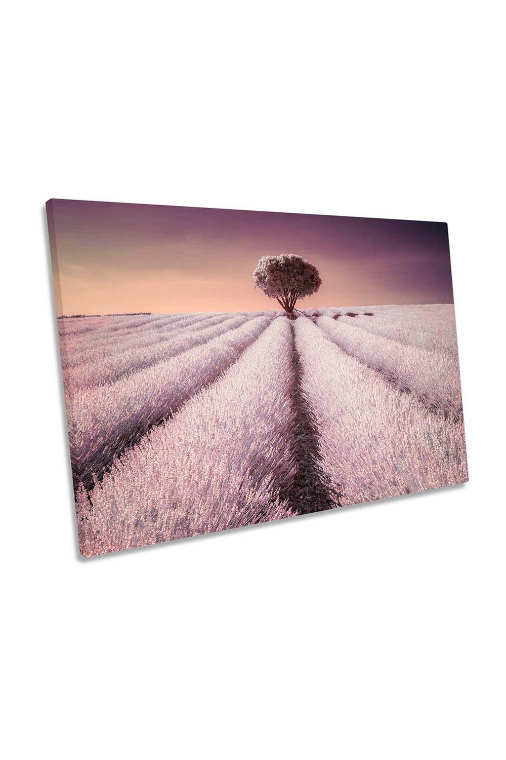 Pink Lavender Sunset Field Tree Landscape Canvas Wall Art Picture Print