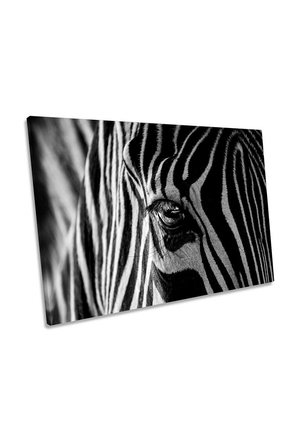 Abstract Zebra Black and White Stripe Canvas Wall Art Picture Print