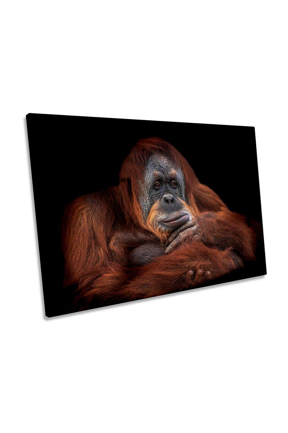 Moments Orangutan Monkey Canvas Wall Art Picture Print