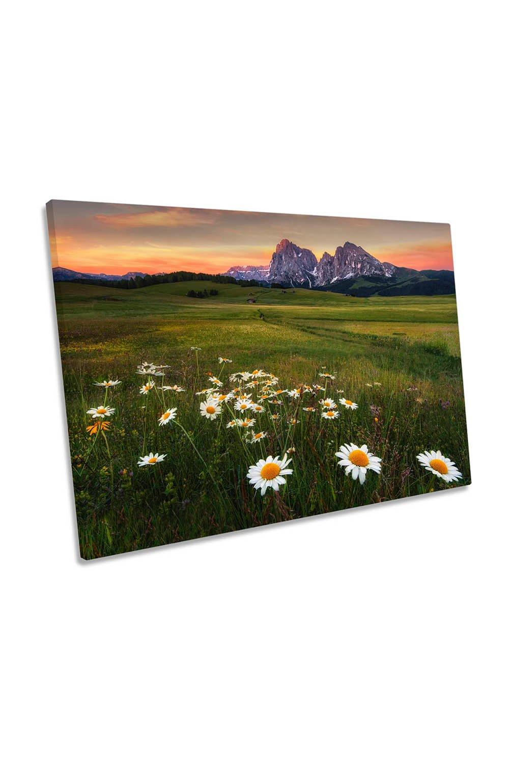 Chamomiles Mountains White Daisy Flowers Canvas Wall Art Picture Print
