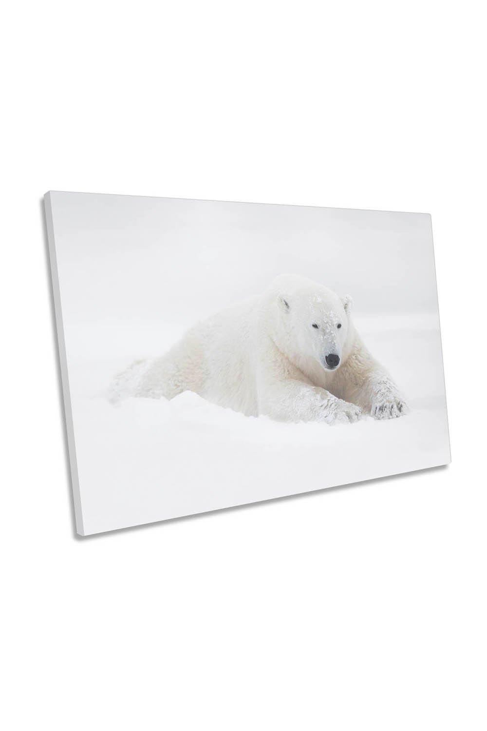 White Polar Bear Resting Wildlife Canvas Wall Art Picture Print