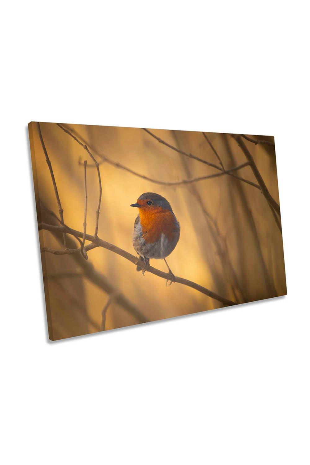 Robin Bird Sunset Canvas Wall Art Picture Print