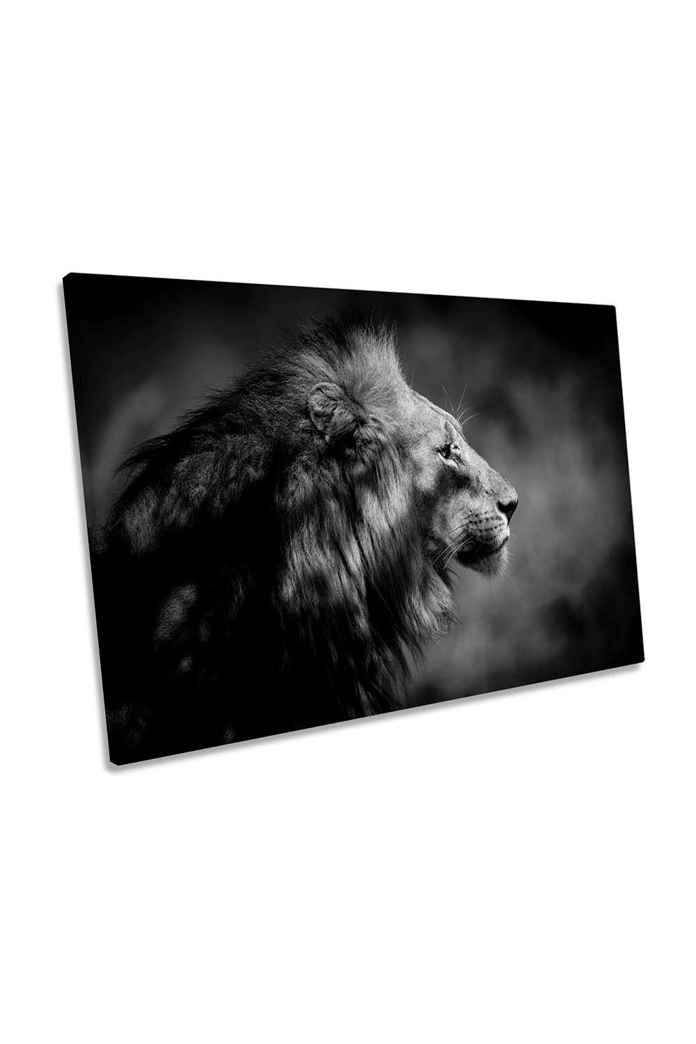 The Male Lion Black and White Animal Canvas Wall Art Picture Print