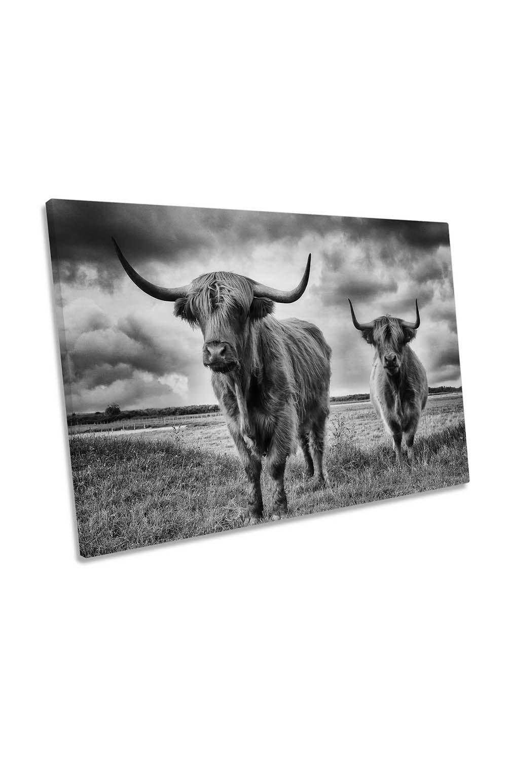 Highland Cows Countryside Black and White Canvas Wall Art Picture Print