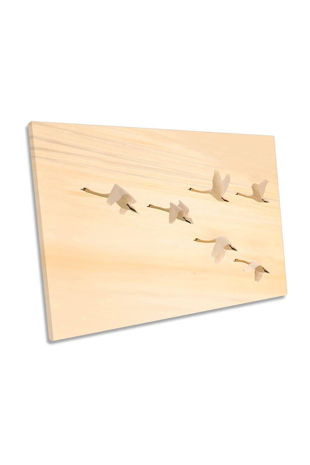 Group Formation Swans Flight Sunset Birds Canvas Wall Art Picture Print