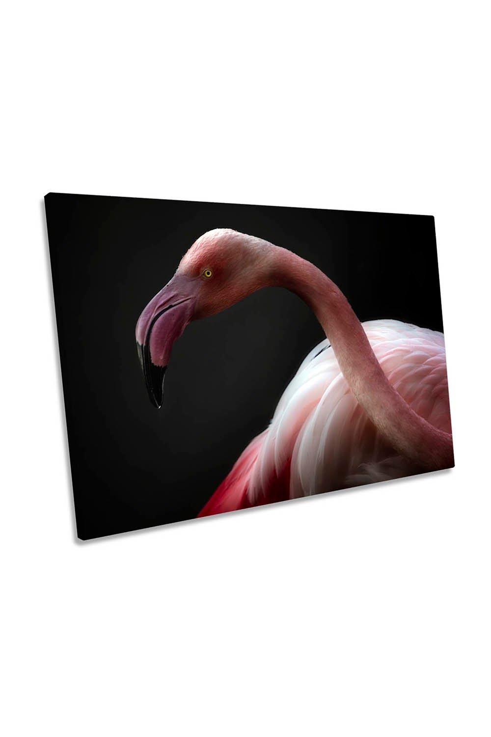 Pink Flamingo Portrait Bird Canvas Wall Art Picture Print