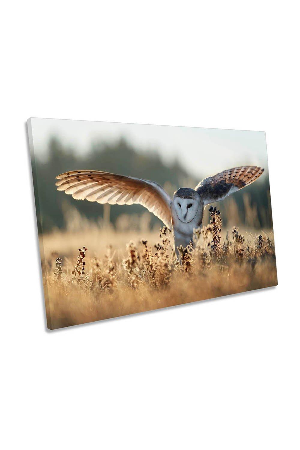 Barn Owl Bird Wildlife Farmhouse Animal Canvas Wall Art Picture Print
