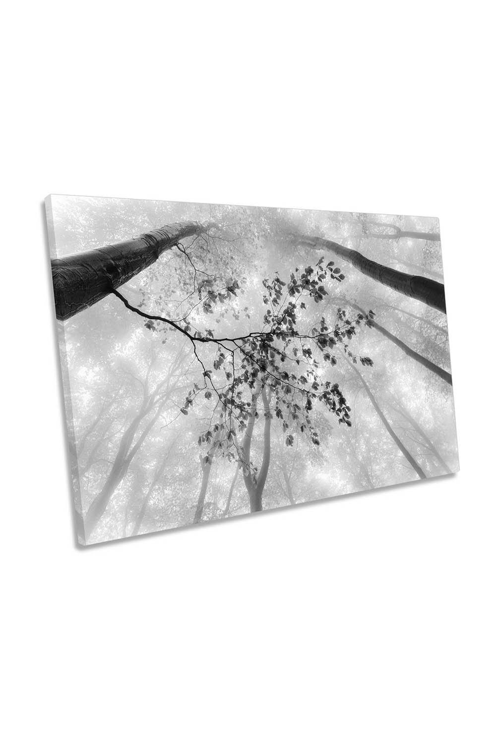 The Branch Tree Floral Black and White Canvas Wall Art Picture Print