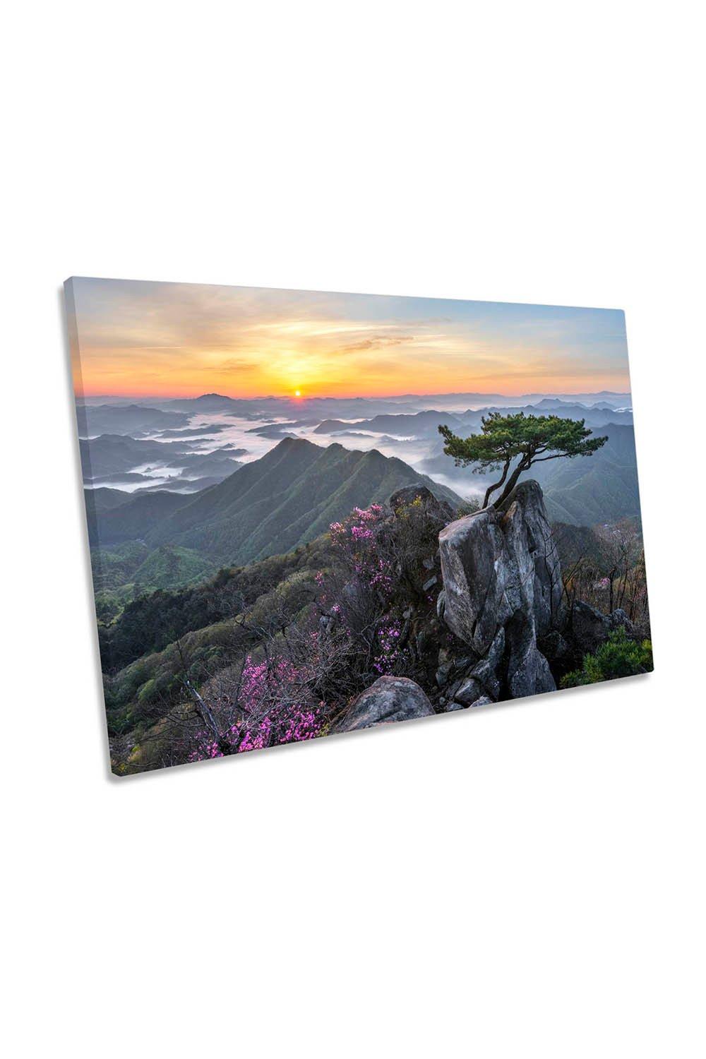 Pine Tree at Mountain Top Sunset Canvas Wall Art Picture Print