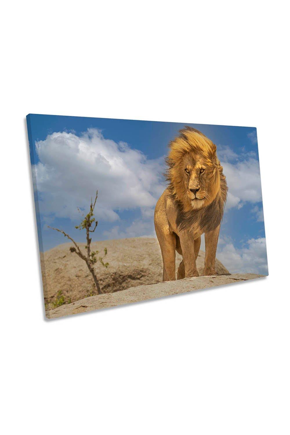 The Lion King Wildlife Animal Canvas Wall Art Picture Print