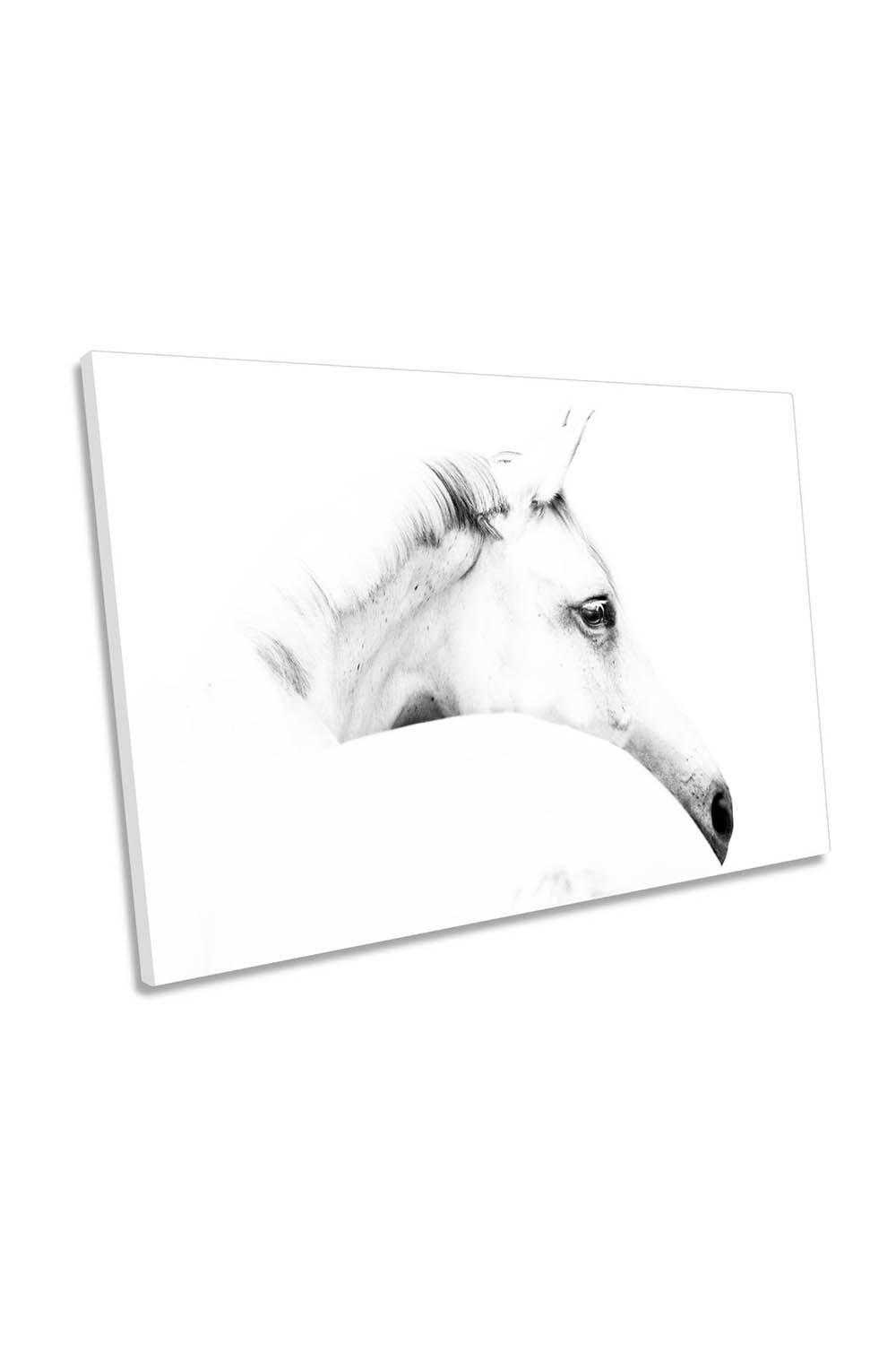 White Horse and Minimalism Animal Canvas Wall Art Picture Print