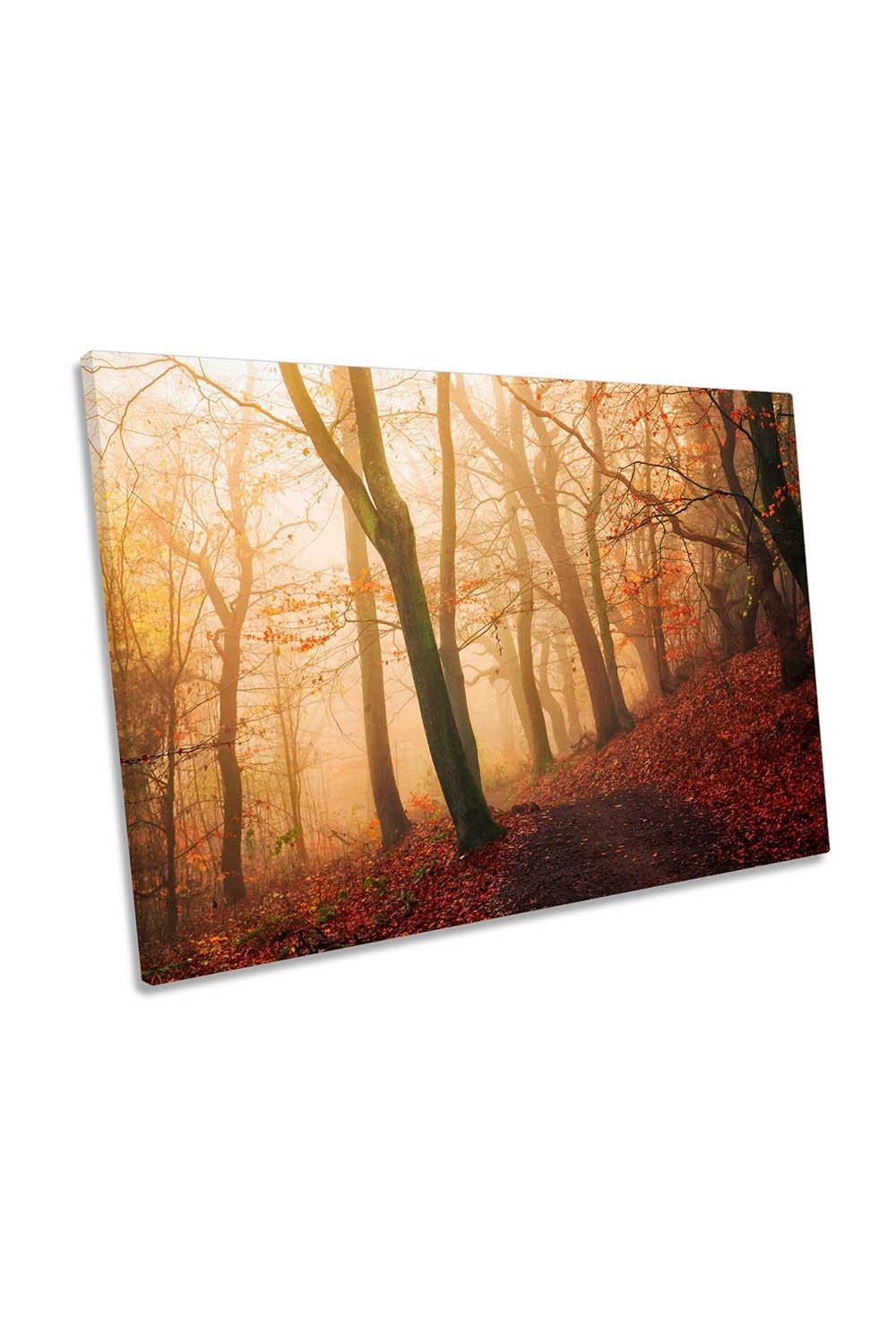 Wake Up Forest Woods Trees Misty Canvas Wall Art Picture Print