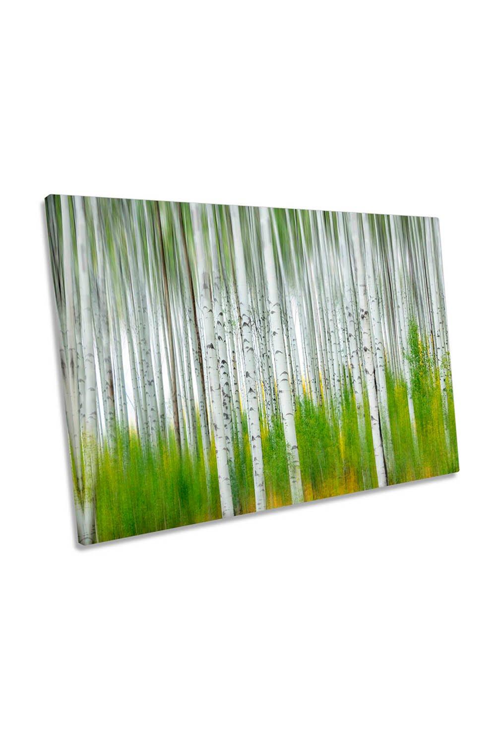 Aspen Forest Birch Trees Green Canvas Wall Art Picture Print