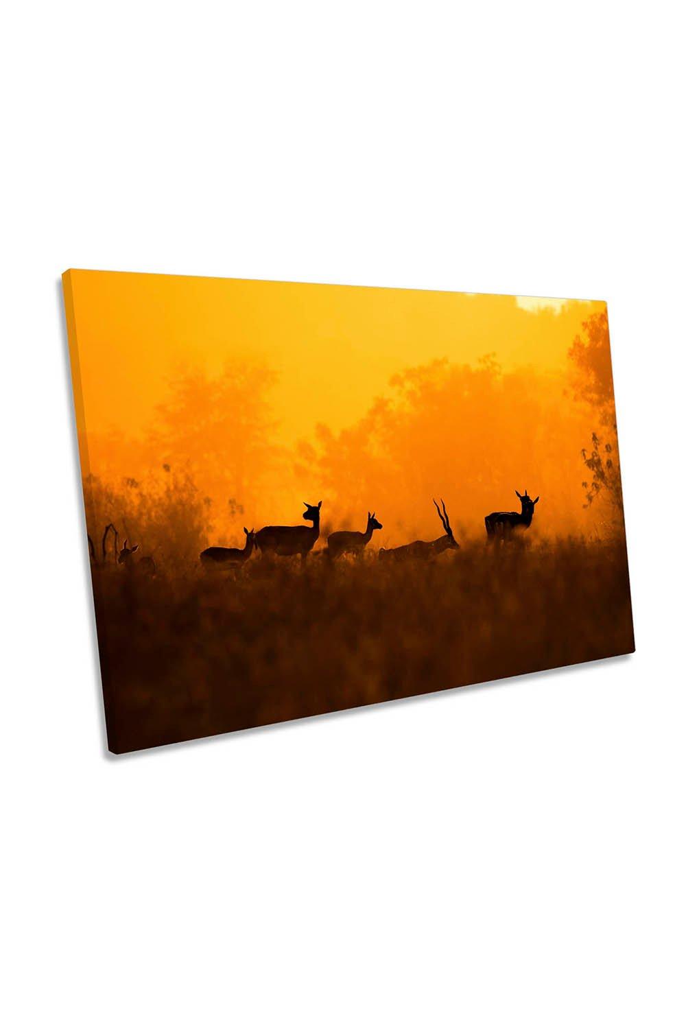 An Evening in Nature Antelopes Orange Canvas Wall Art Picture Print