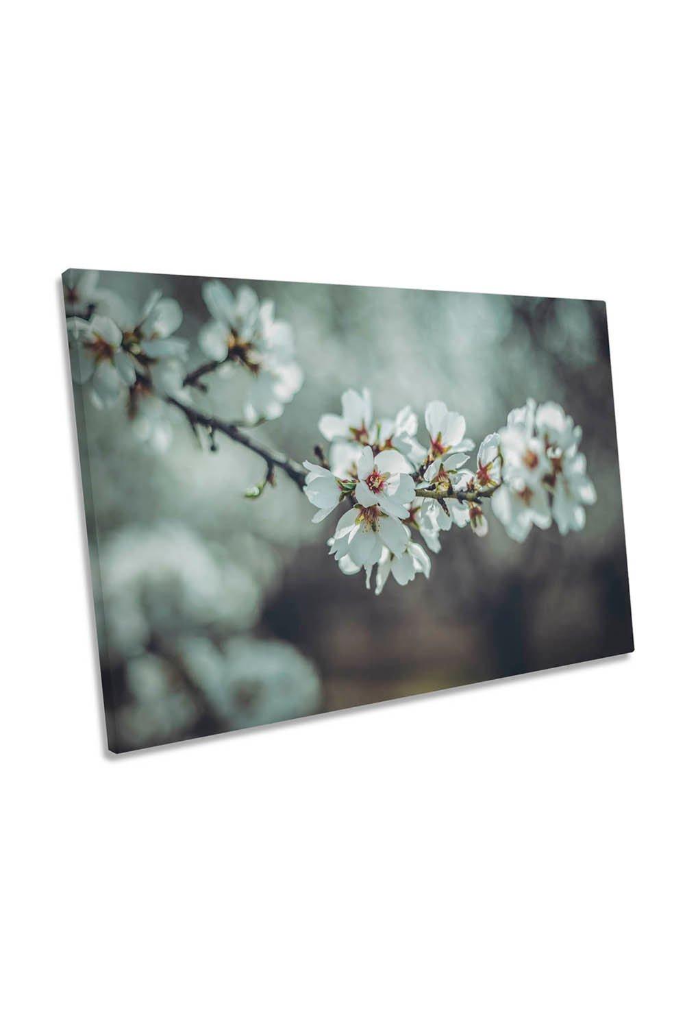 Almond Blossoms Floral Flowers Spring Canvas Wall Art Picture Print