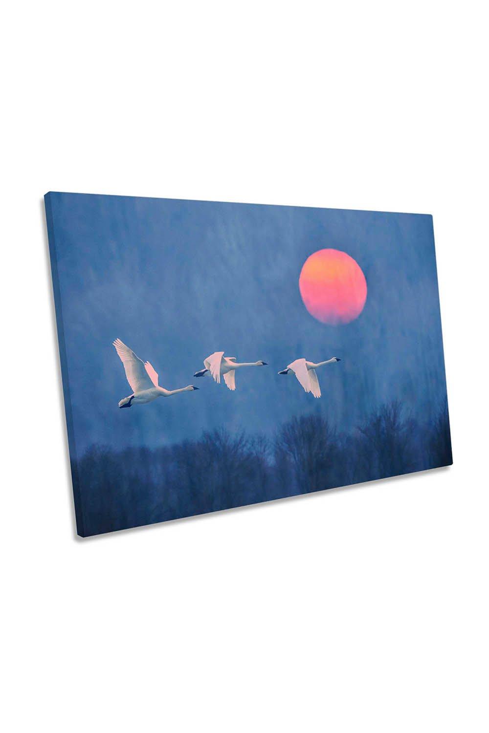 Sunset White Birds in Flight Canvas Wall Art Picture Print