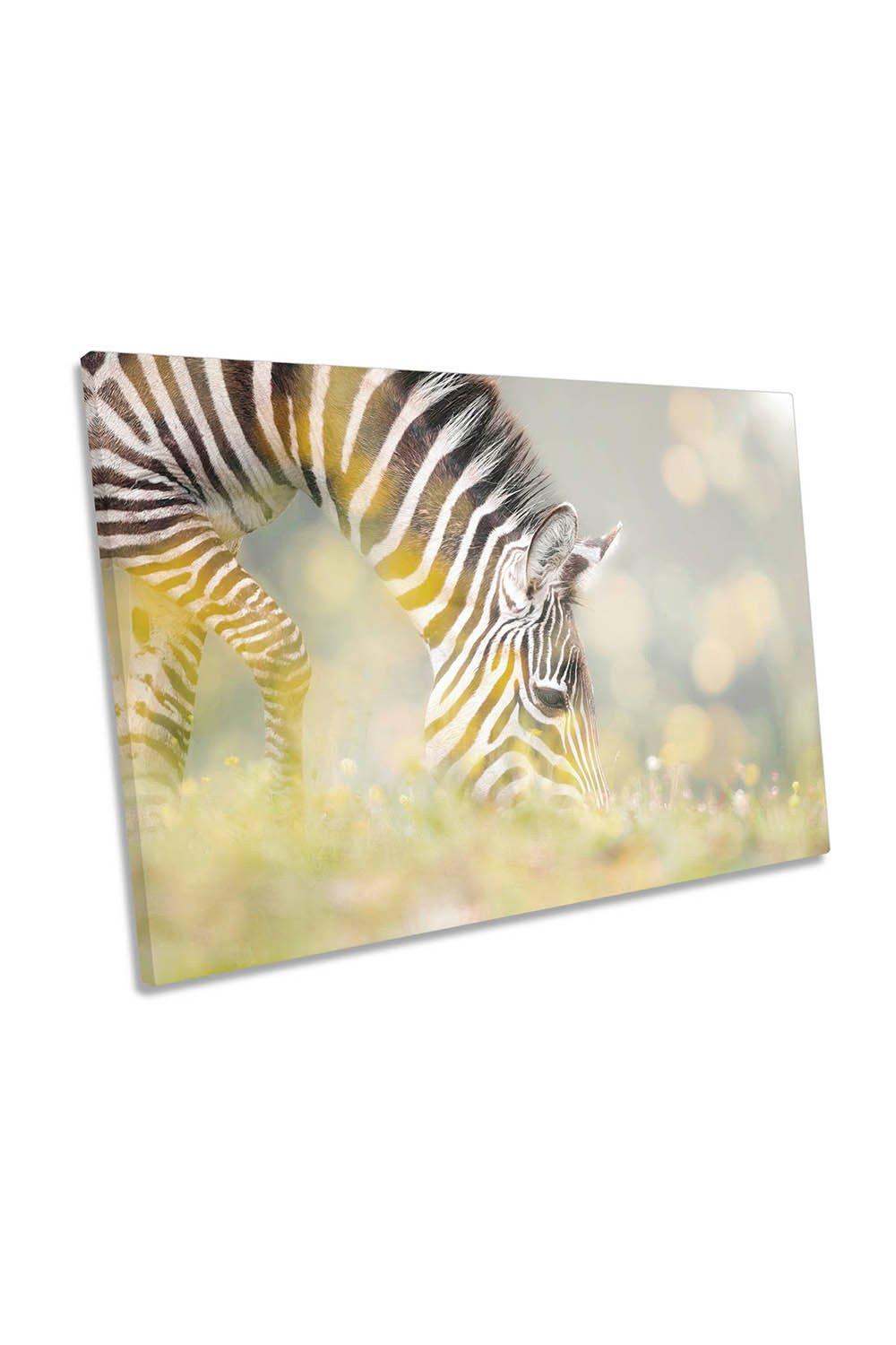 Breakfast Zebra Stripes Floral Canvas Wall Art Picture Print