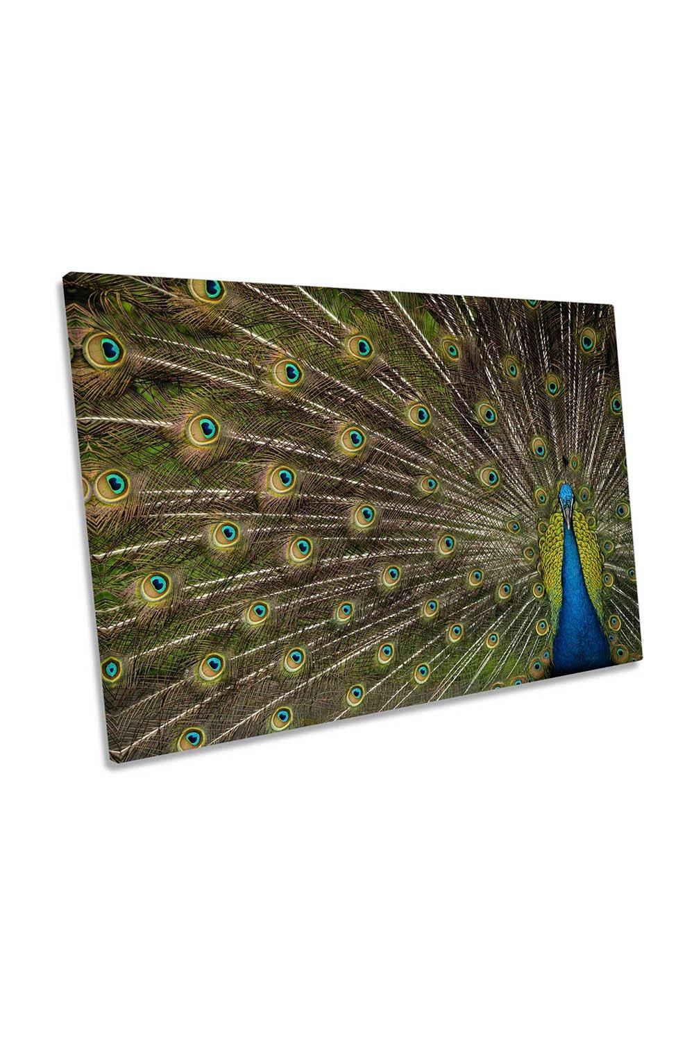 Peacock Flower Green and Blue Canvas Wall Art Picture Print