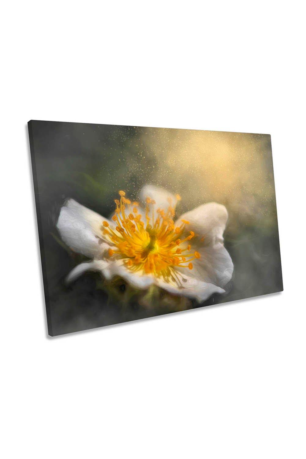 Dreaming Yellow and White Floral Flower Canvas Wall Art Picture Print