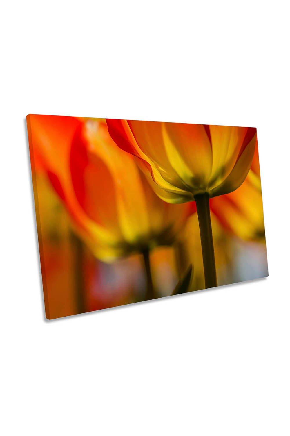 Under the Tulip Flower Floral Red and Yellow Canvas Wall Art Picture Print