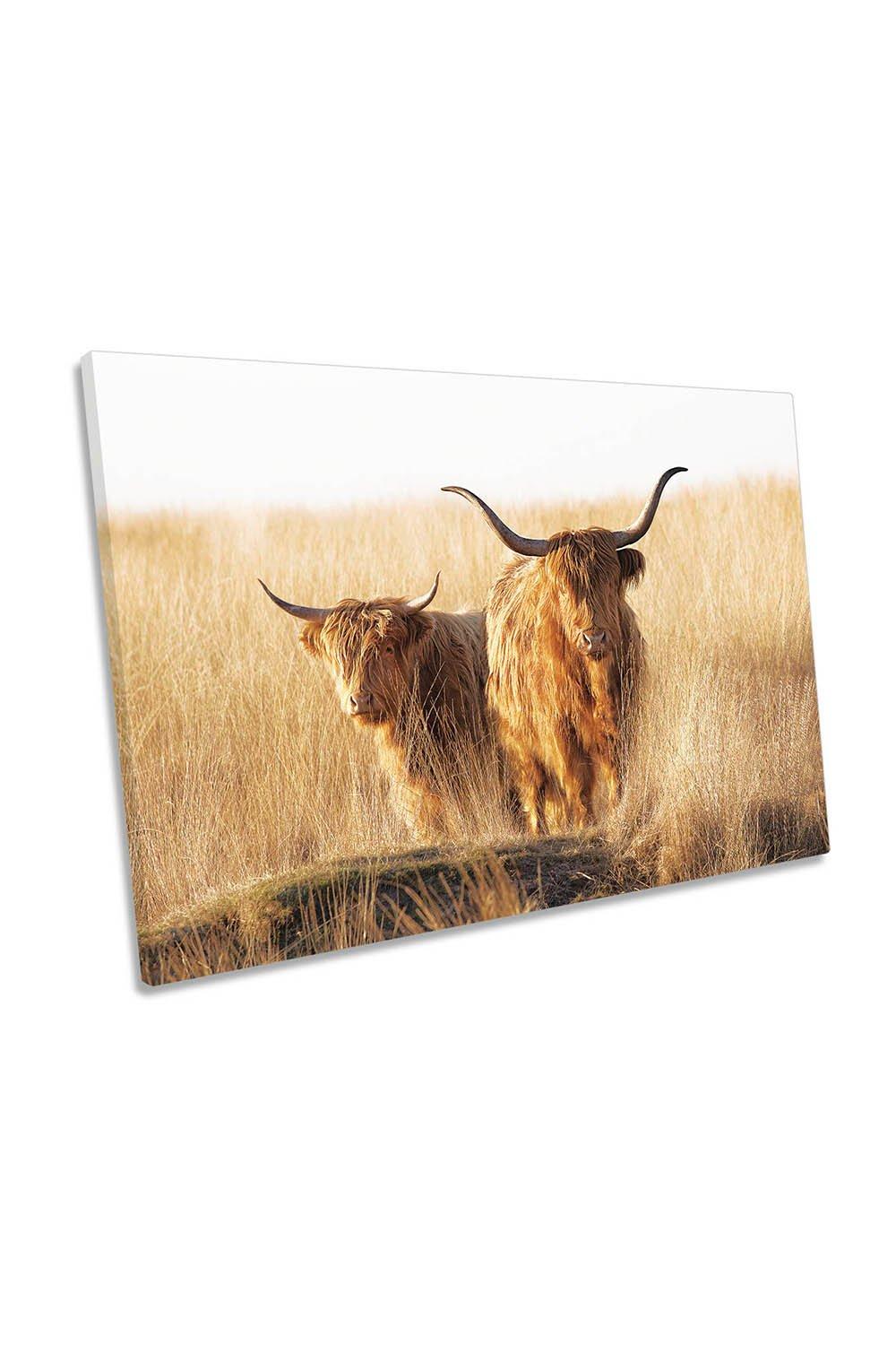 Young and Old Highland Cows Scottish Canvas Wall Art Picture Print
