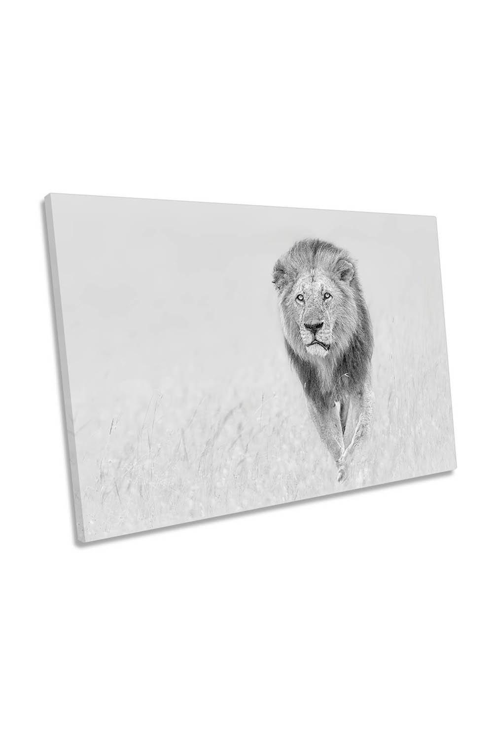 The King of The Prairie Lion Canvas Wall Art Picture Print