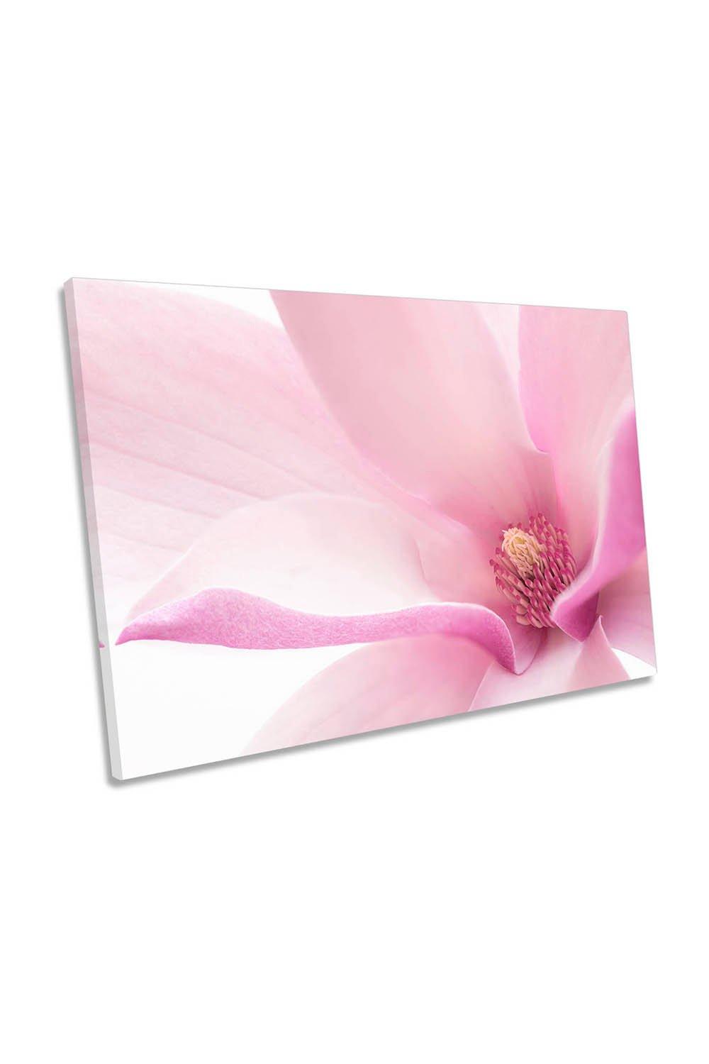 Pink Magnolia Flower Floral Canvas Wall Art Picture Print
