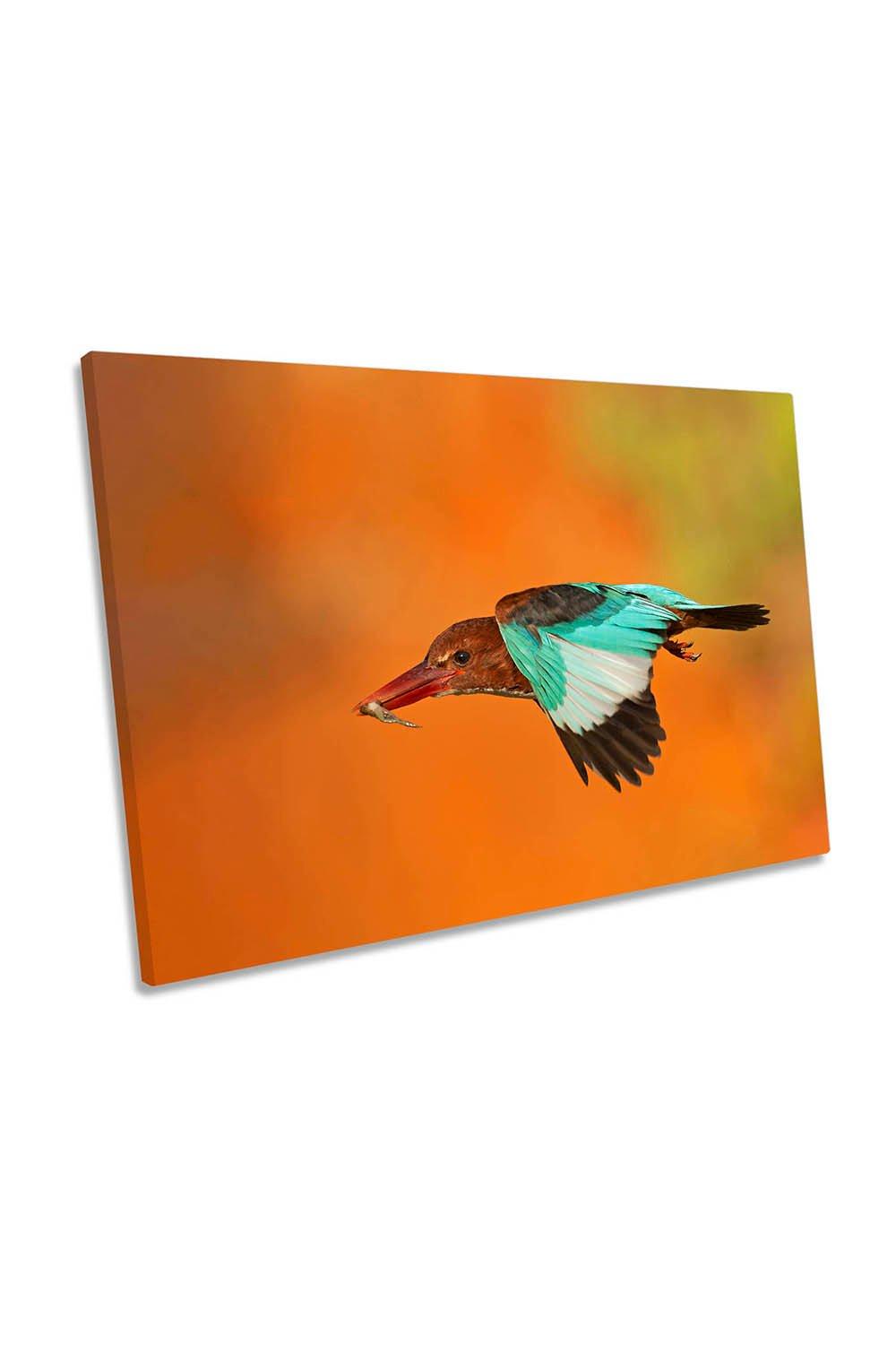 Kingfisher in Flight Bird Wildlife Canvas Wall Art Picture Print