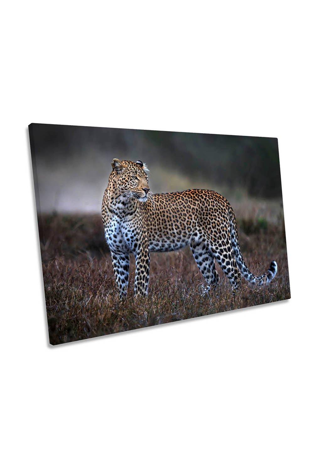 Leopard on the Prowl Wildlife Canvas Wall Art Picture Print