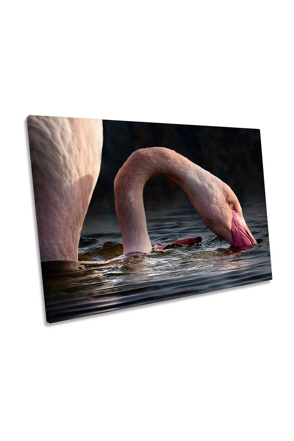 Pink Flamingo Bird Drinking Canvas Wall Art Picture Print