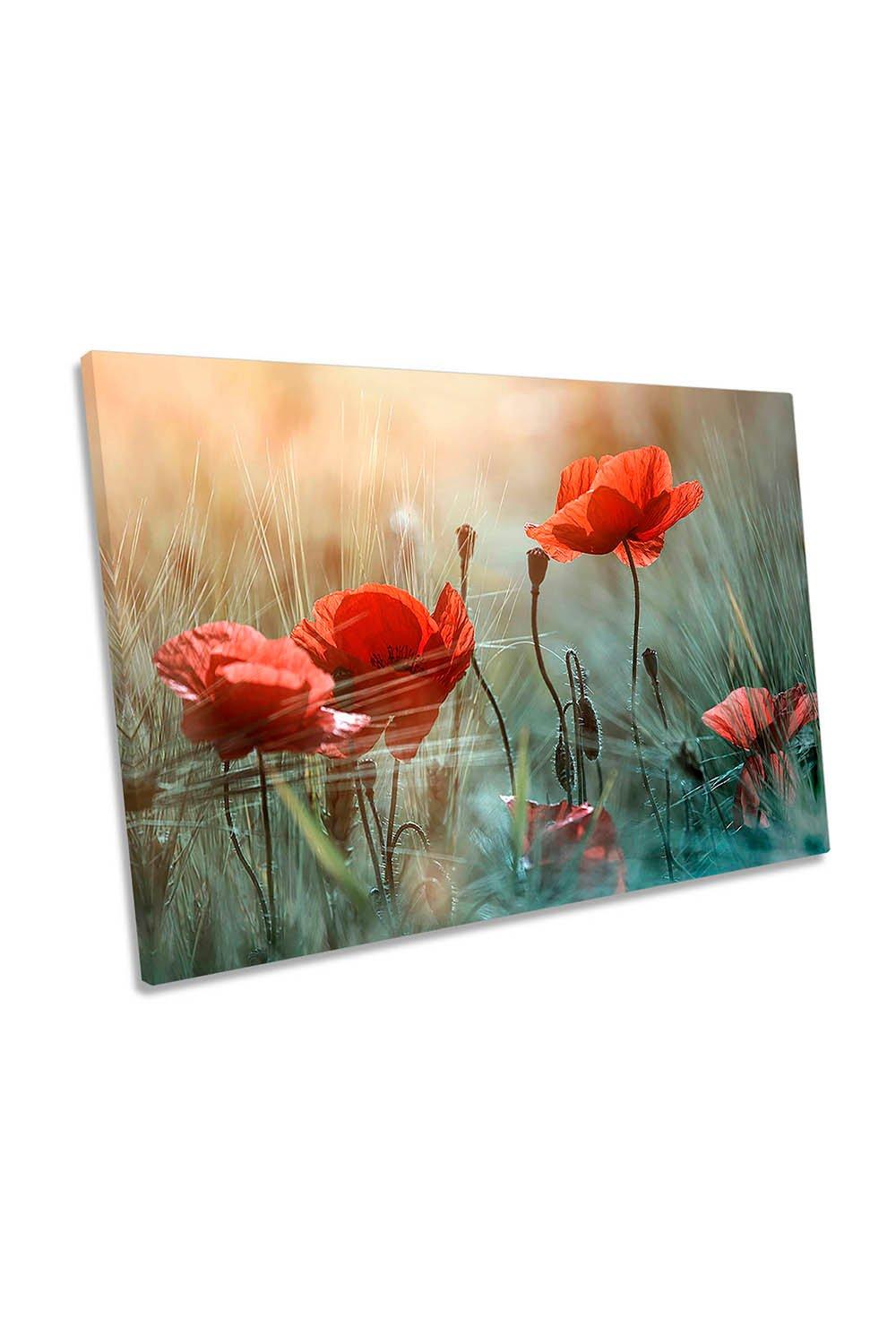 Red Poppies Sunlight Flowers Floral Canvas Wall Art Picture Print