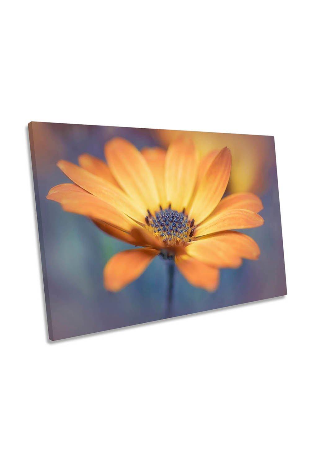 Orange Delight Daisy Flower Floral Canvas Wall Art Picture Print