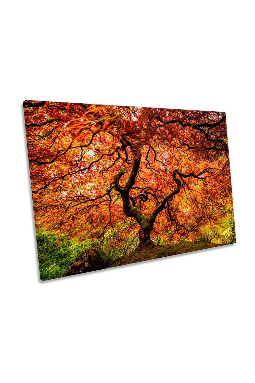 Maple Tree Asian Floral Autumn Canvas Wall Art Picture Print