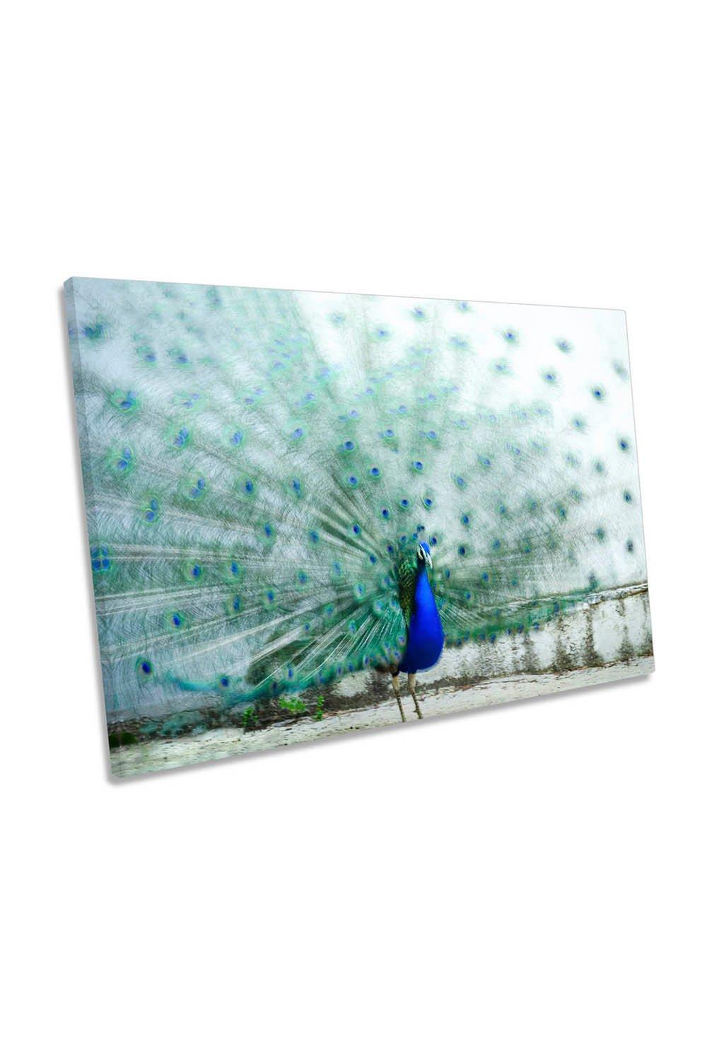 Peacock Bird Feathers Green and Blue Canvas Wall Art Picture Print