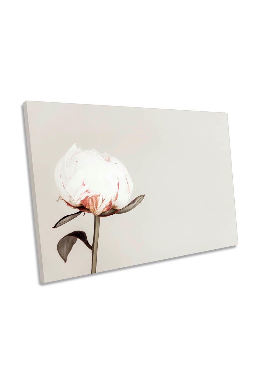 Peony Floral Flowers Elegance Grey Canvas Wall Art Picture Print