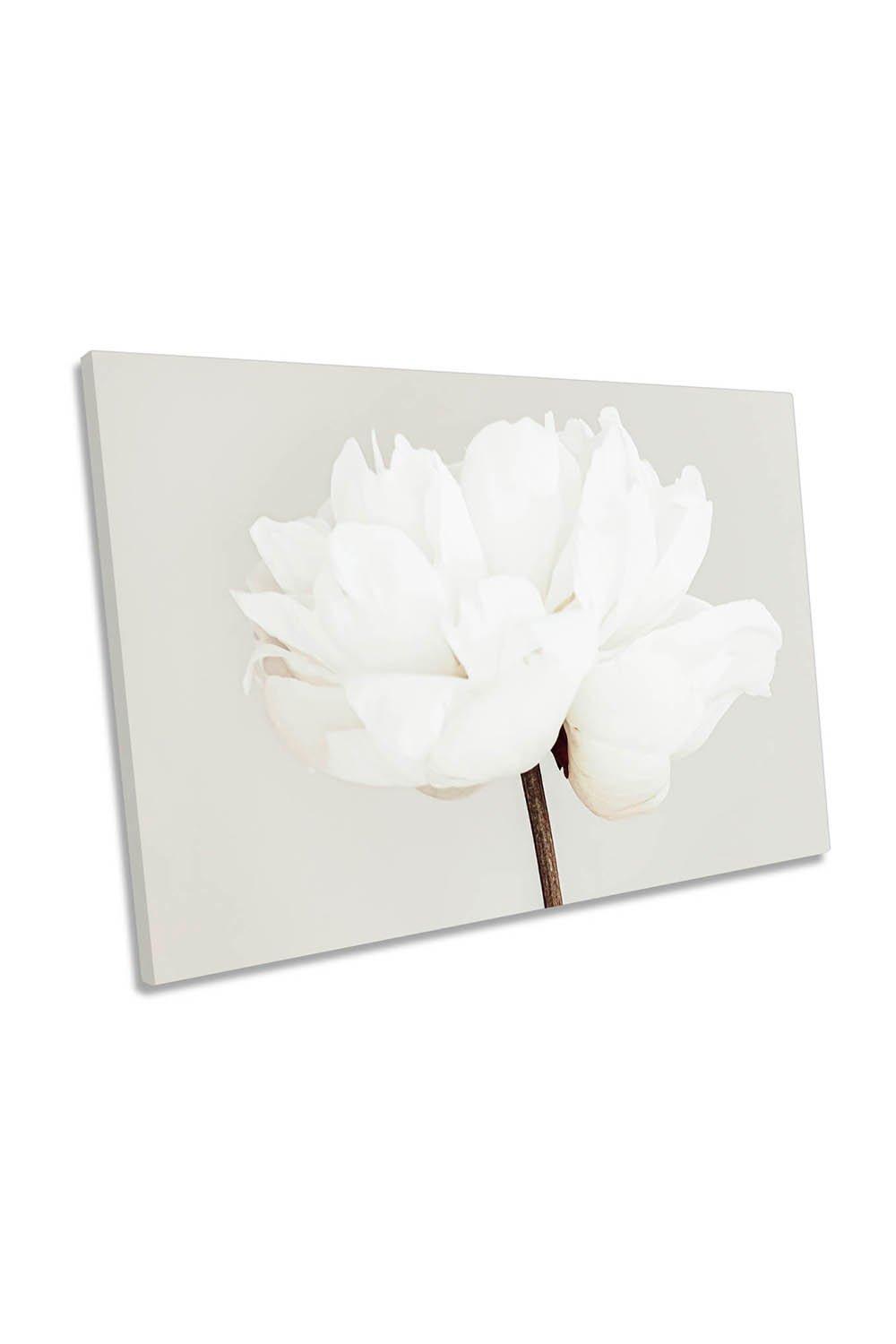 Peony White Flowers Floral Grey Canvas Wall Art Picture Print