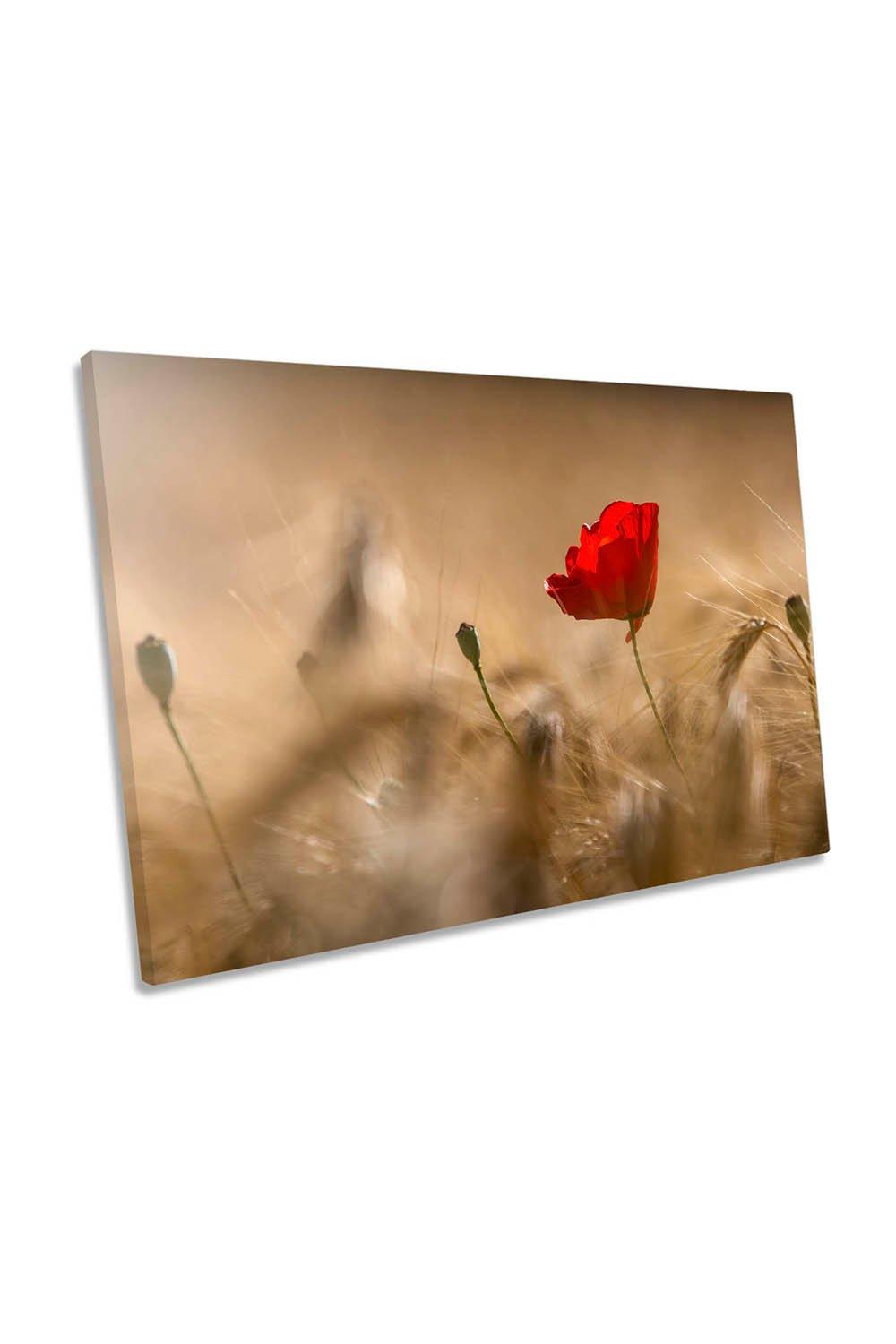 Red Scenic Poppy Flower Canvas Wall Art Picture Print