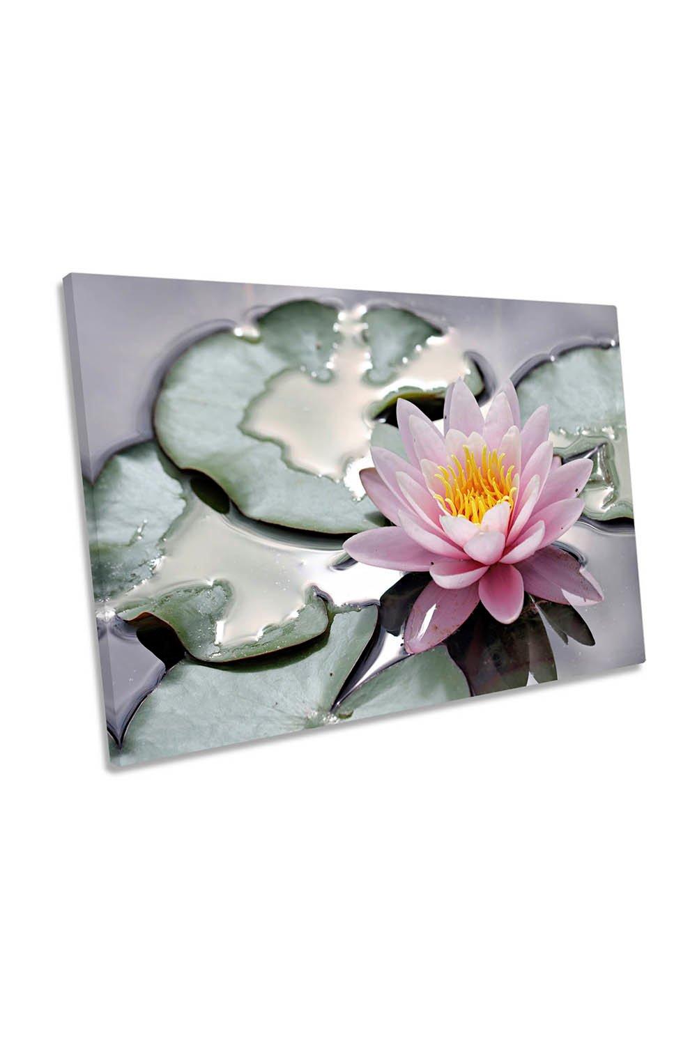 Pretty in Pink Spa Flower Floral Zen Canvas Wall Art Picture Print