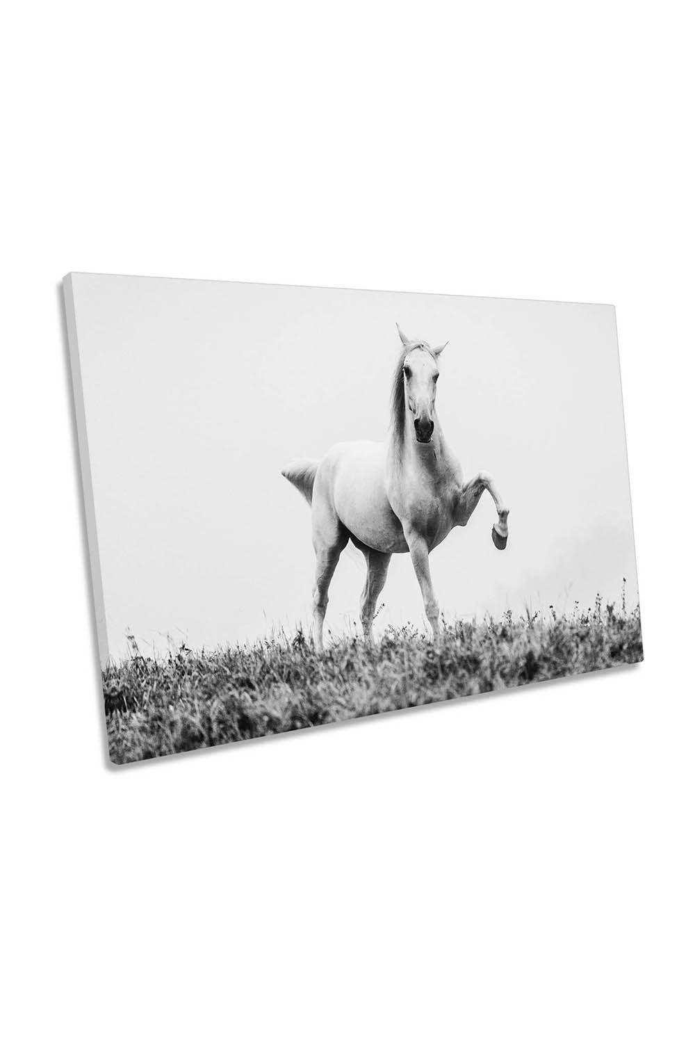 A Short Story about a White Beautiful Horse Canvas Wall Art Picture Print