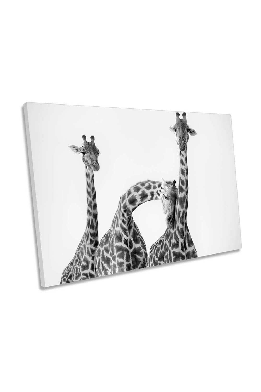 Giraffe Family Love Wildlife Canvas Wall Art Picture Print