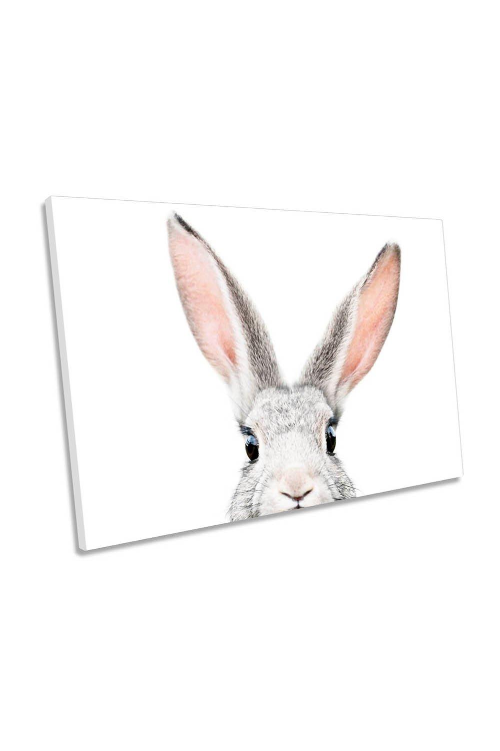 Peeking Bunny Rabbit Canvas Wall Art Picture Print