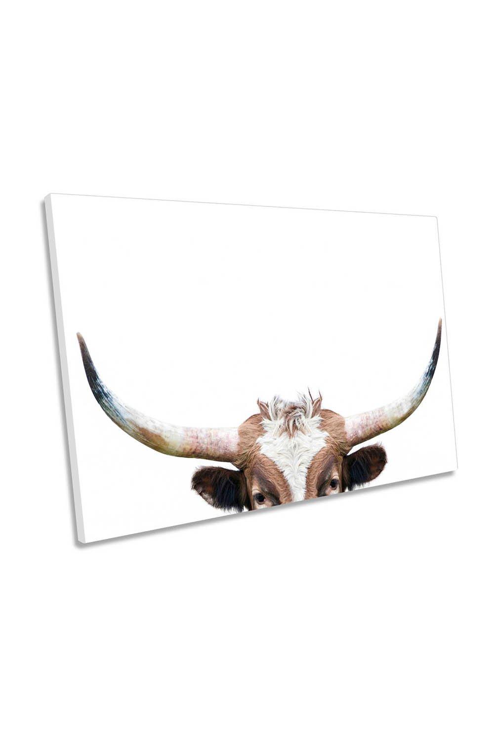 Peeking Longhorn Cow Canvas Wall Art Picture Print