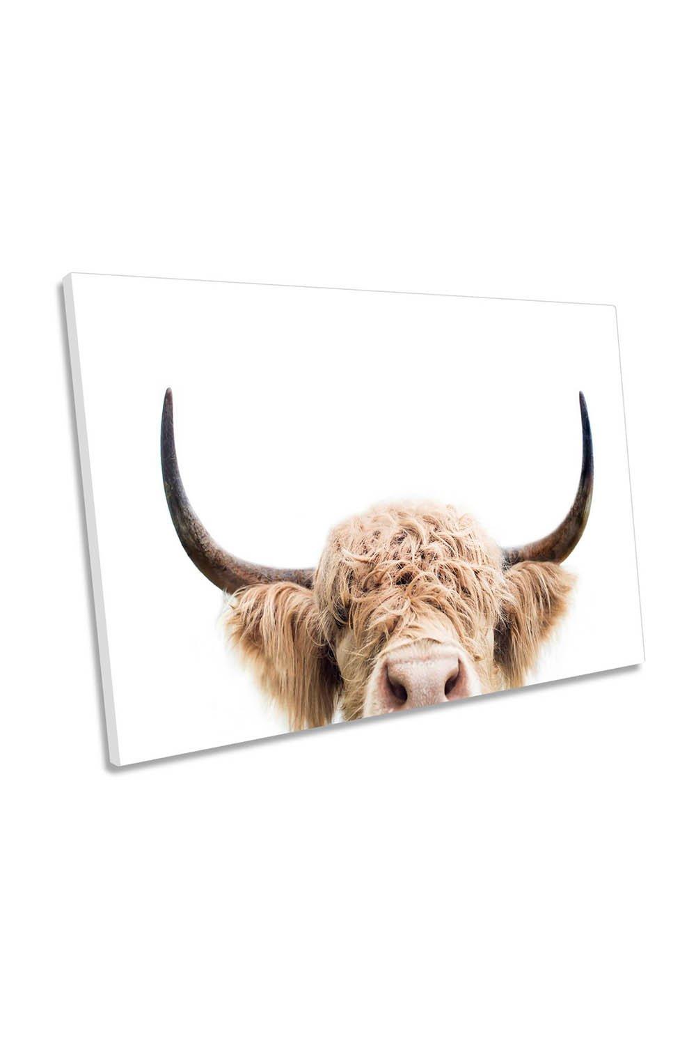 Peeking Highland Cow Canvas Wall Art Picture Print