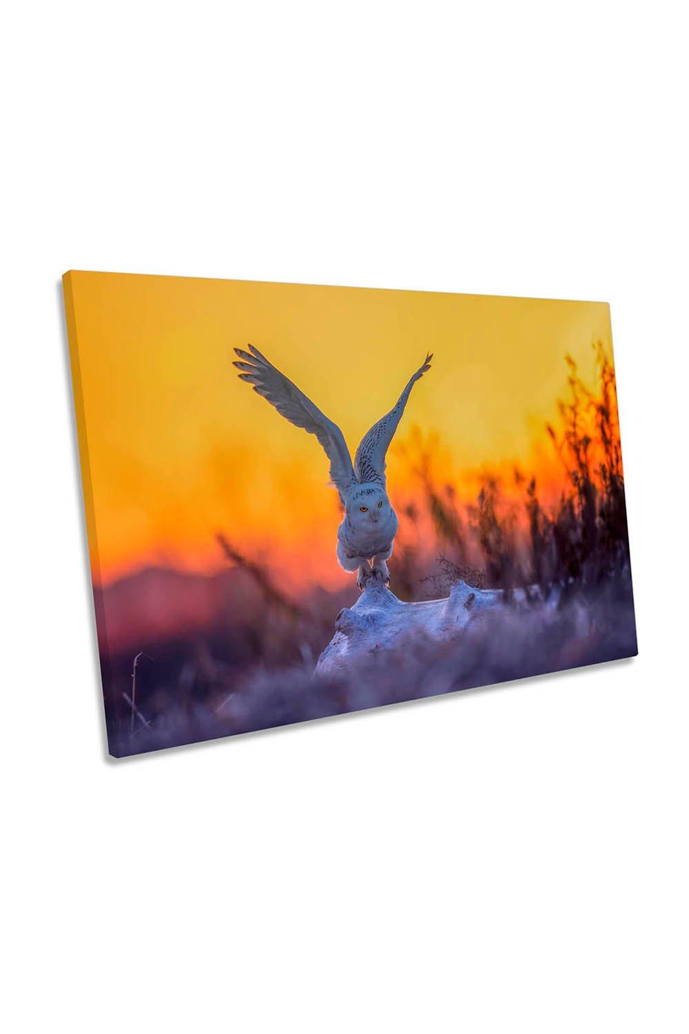 Snowy Owl Taking Off at Sunrise Canvas Wall Art Picture Print