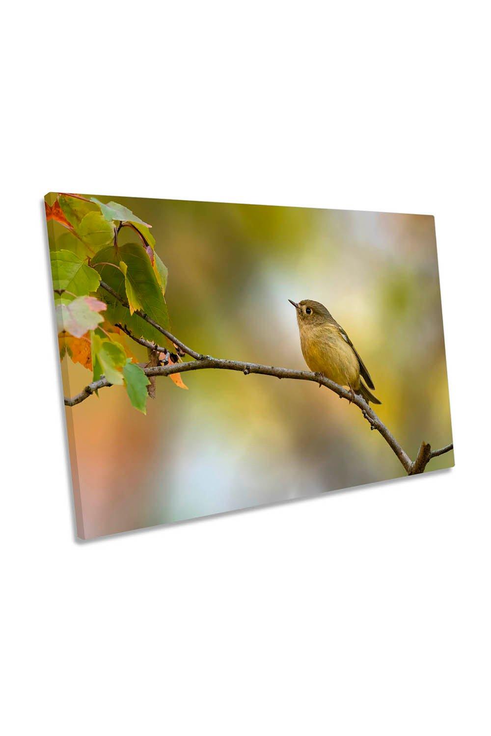 Fall is Here Bird Tree Wildlife Green Canvas Wall Art Picture Print