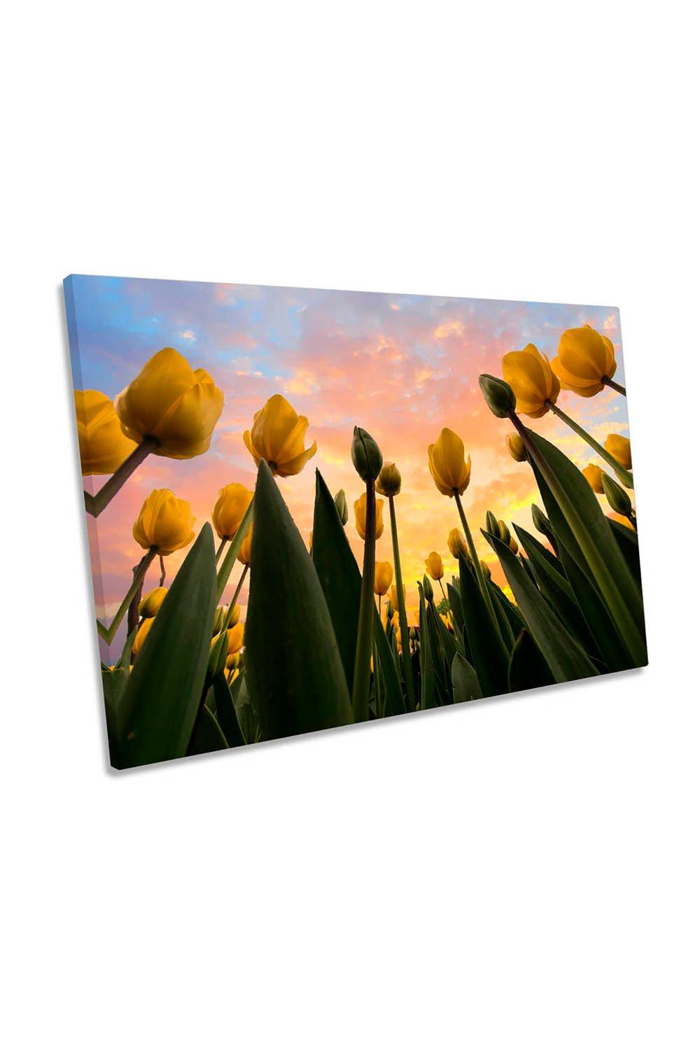 Yellow Tulip Flowers Sunset Canvas Wall Art Picture Print