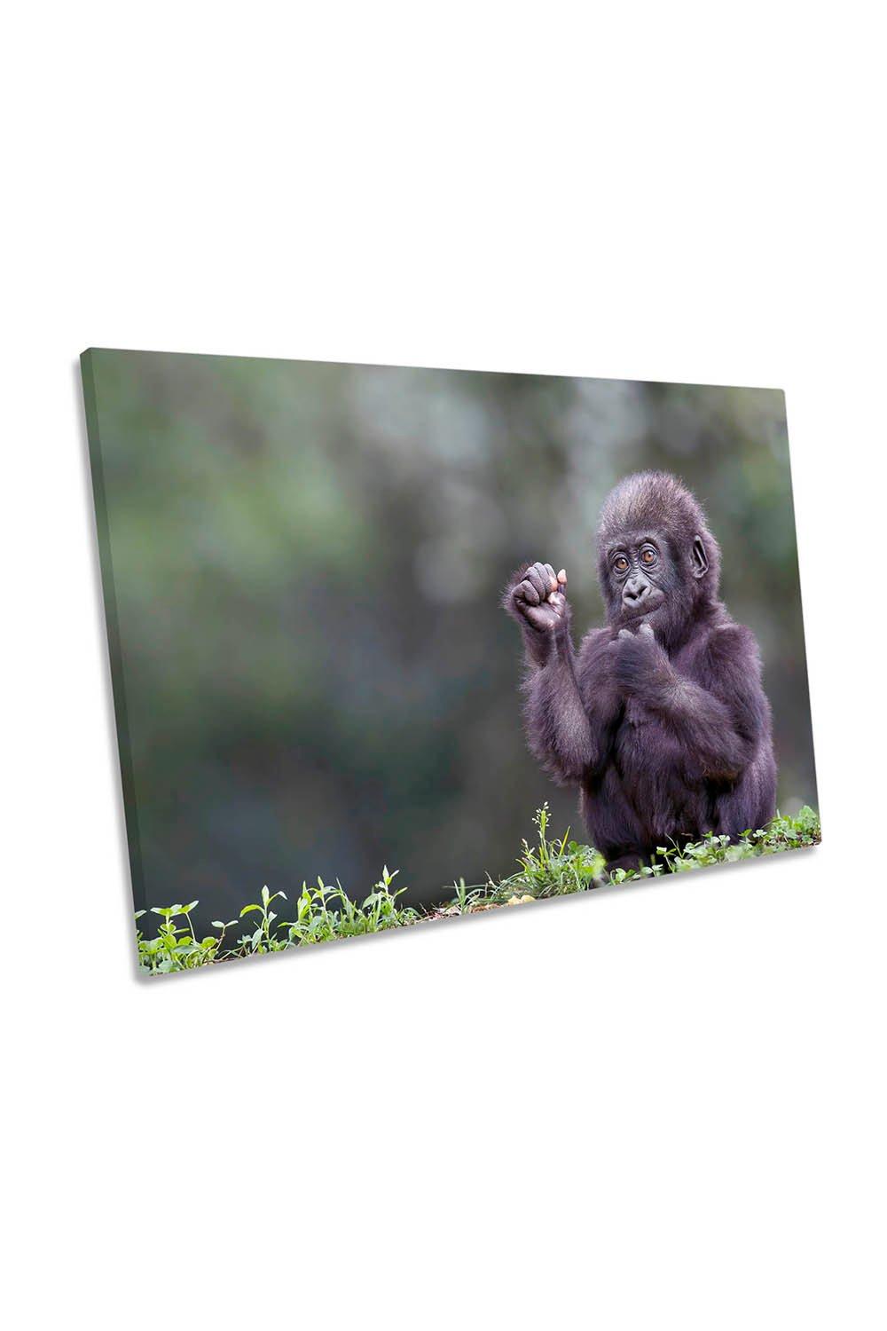 Baby Gorilla Wildlife Monkey Canvas Wall Art Picture Print