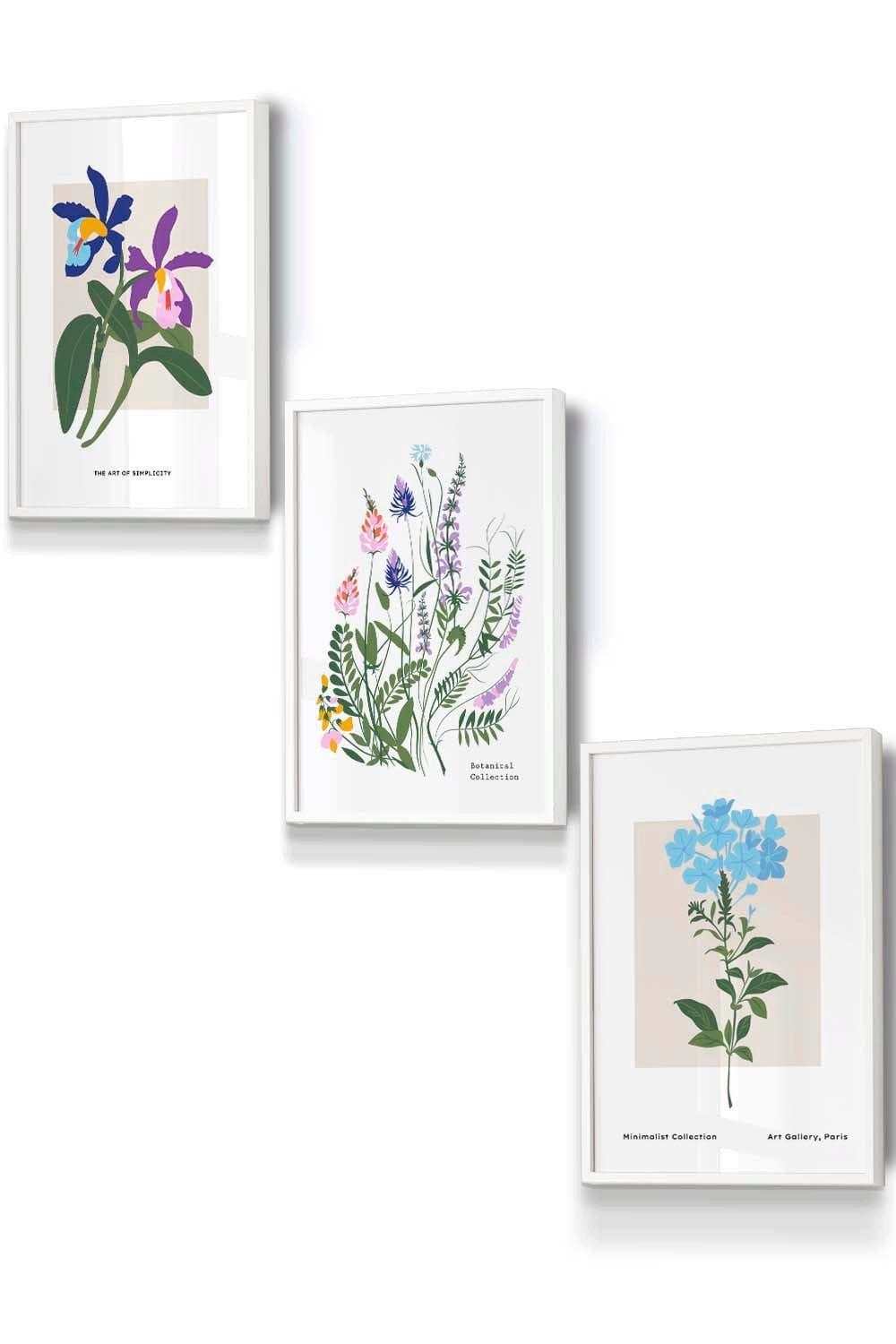 Set of 3 White Framed Vintage Graphical Colourful Wild Flower Market Wall Art