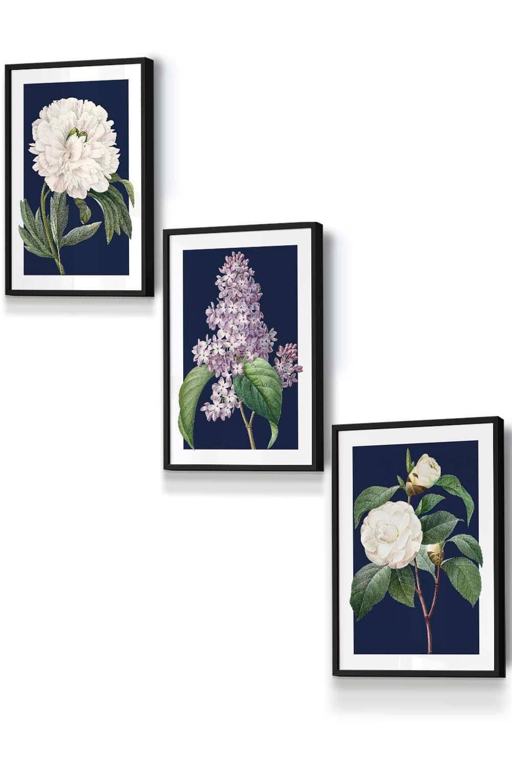 Set of 3 Black Framed Vintage Flowers Lilac, Peony and Camellia on Navy Blue Wall Art