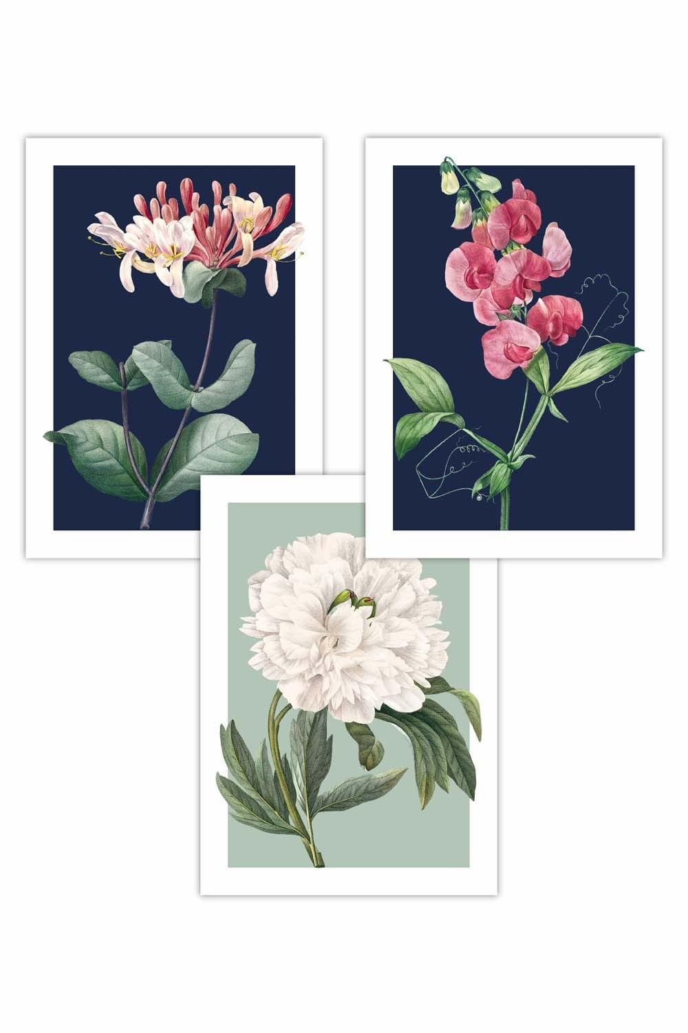 Set of 3 Vintage Flowers Honeysuckle Blue and Green Art Posters